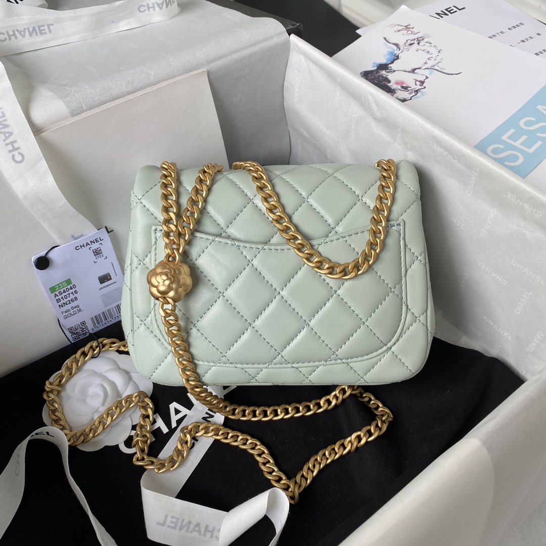 Mini Classic Flap Lambskin Bag AS4040 Light Green